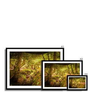 Forest 6 Framed Print