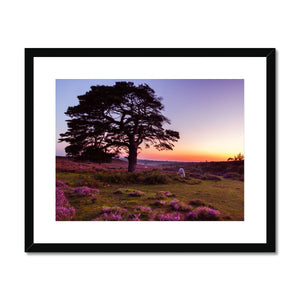 Forest 25 Framed & Mounted Print