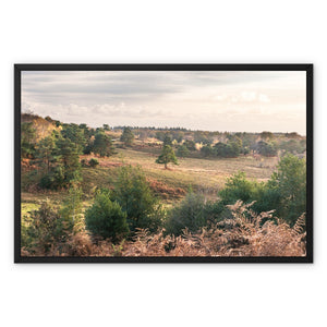 Acres down Framed Canvas