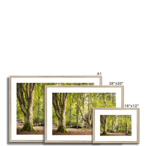 Bolderwood 5 Framed & Mounted Print