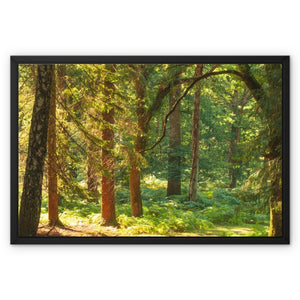 Forest 15 Framed Canvas