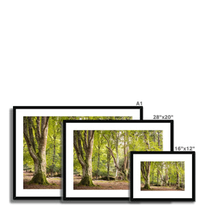 Bolderwood 5 Framed & Mounted Print