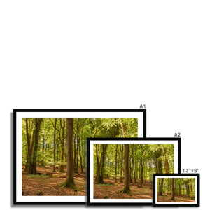 Forest 21 Framed Print