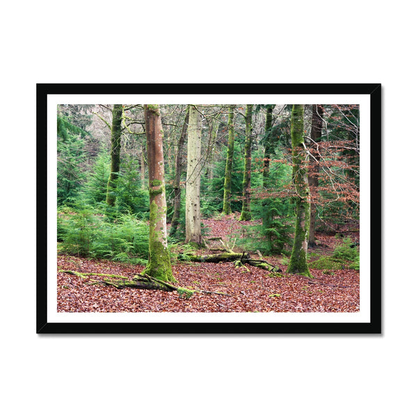 Wilverly Framed Print