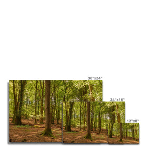 Forest 21 Canvas