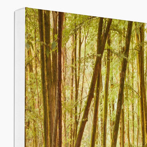 Forest 11 Canvas