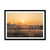 Sun reeds Framed Print