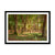 Forest 19 Framed Print