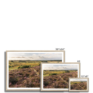 Holm Hill Framed Print