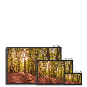 Forest 9 Framed Canvas