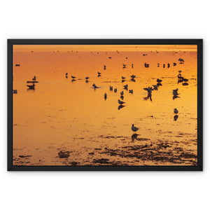 Sunset 6 Framed Canvas