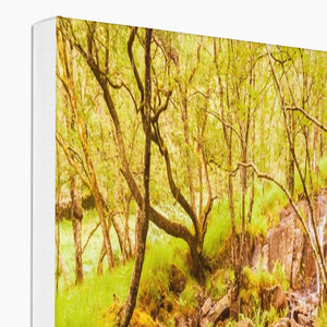 Forest 27 Canvas