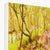 Forest 27 Canvas