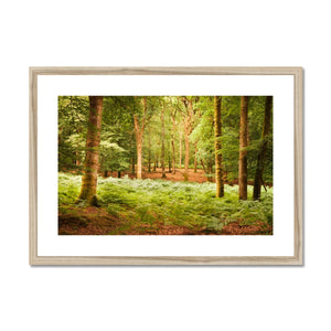 Forest 13 Framed & Mounted Print