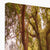 Forest 4 Canvas