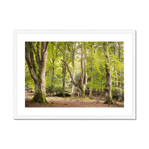 Bolderwood 5 Framed & Mounted Print