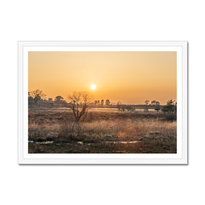 Sun reeds Framed Print