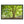 Emerald canopy forest scene