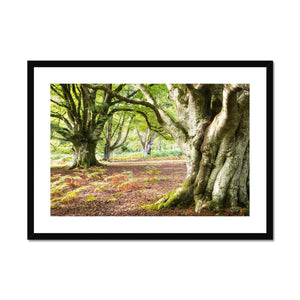 Vinney ridge Framed & Mounted Print