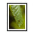 Leaf Macro 3 Framed Print