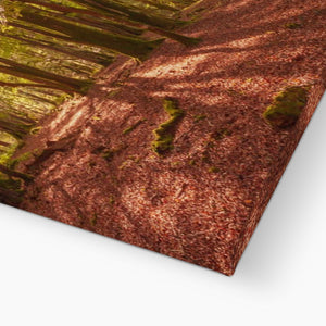 In the Shadow of Trees