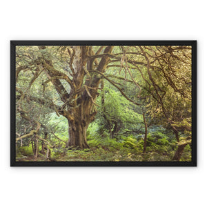 Mark ash wood Framed Canvas