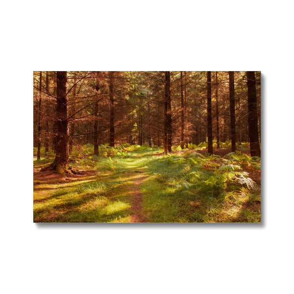 Forest 16 Canvas