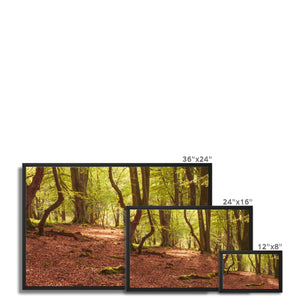 Forest 10 Framed Canvas