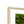 Emerald canopy forest scene