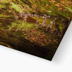 Forest 6 Canvas