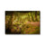 Forest 6 Canvas