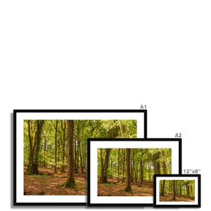 Forest 21 Framed & Mounted Print