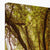 Forest 1 Canvas