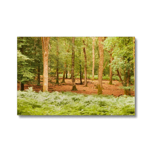 Forest 13 Canvas