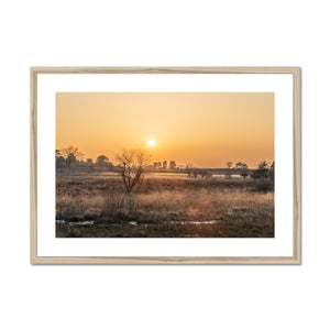 Sun reeds Framed & Mounted Print