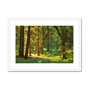 Forest 15 Framed & Mounted Print