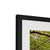 Forest  23 Framed & Mounted Print