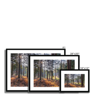 Bolder pines Framed & Mounted Print