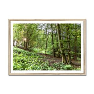 Puckpits valley 2 Framed Print