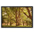 Forest 2 Framed Canvas