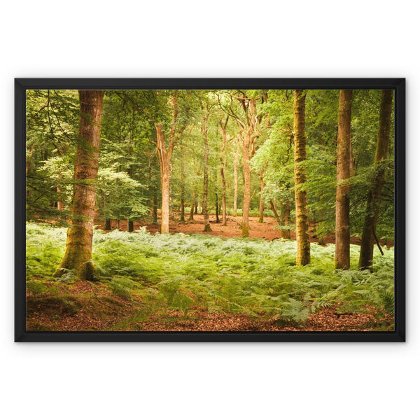 Forest 13 Framed Canvas