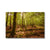 Forest 8 Canvas