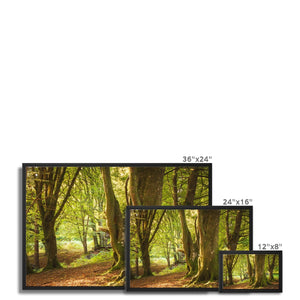 Forest 14 Framed Canvas