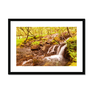 Forest 27 Framed & Mounted Print