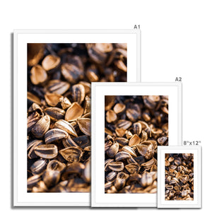 Sun Flower seeds 1 Framed & Mounted Print