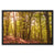 Forest 9 Framed Canvas