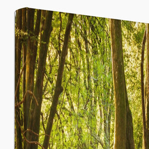 Forest 14 Canvas