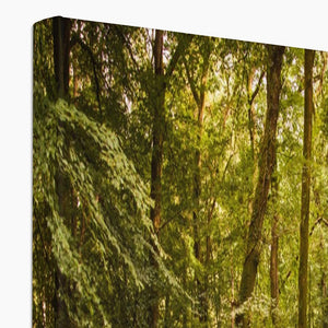 Forest 3 Canvas