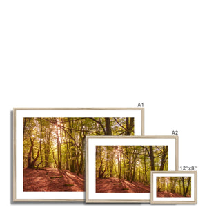 Forest 9 Framed & Mounted Print