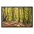 Bolderwood 4 Framed Canvas